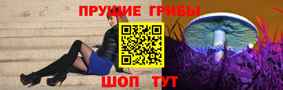 Галлюциногенные грибы GOLDEN TEACHER Аксай