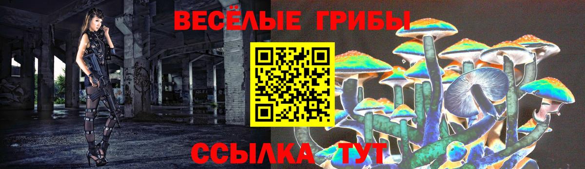 Аксай  Псилоцибиновые грибы GOLDEN TEACHER  наркотики  Вход с VPN 